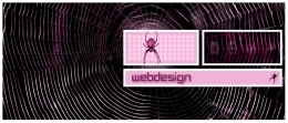 Grafische vormgeving: Concept voor eigen website